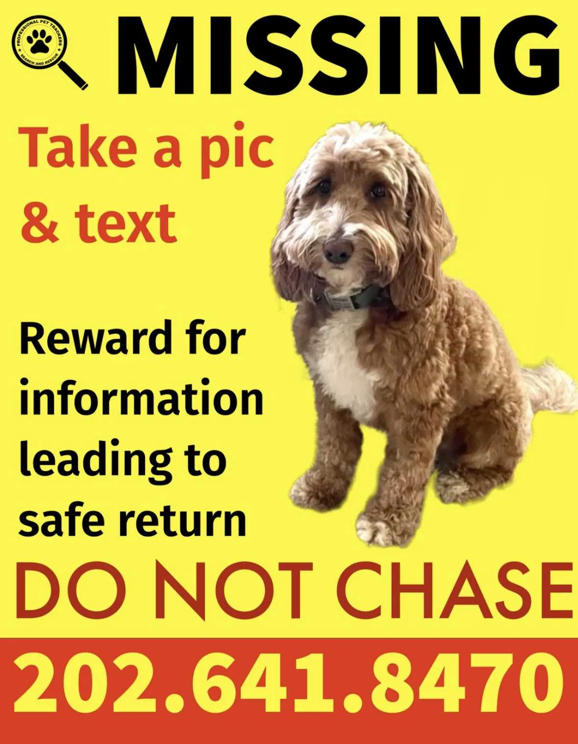 Lost dog in Woodbridge, VA, 22192