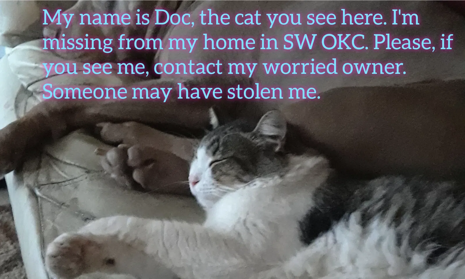 Lost cat in Oklahoma City, OK, 73159