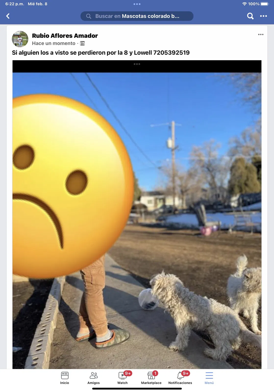 Lost dog in Denver, CO, 80204