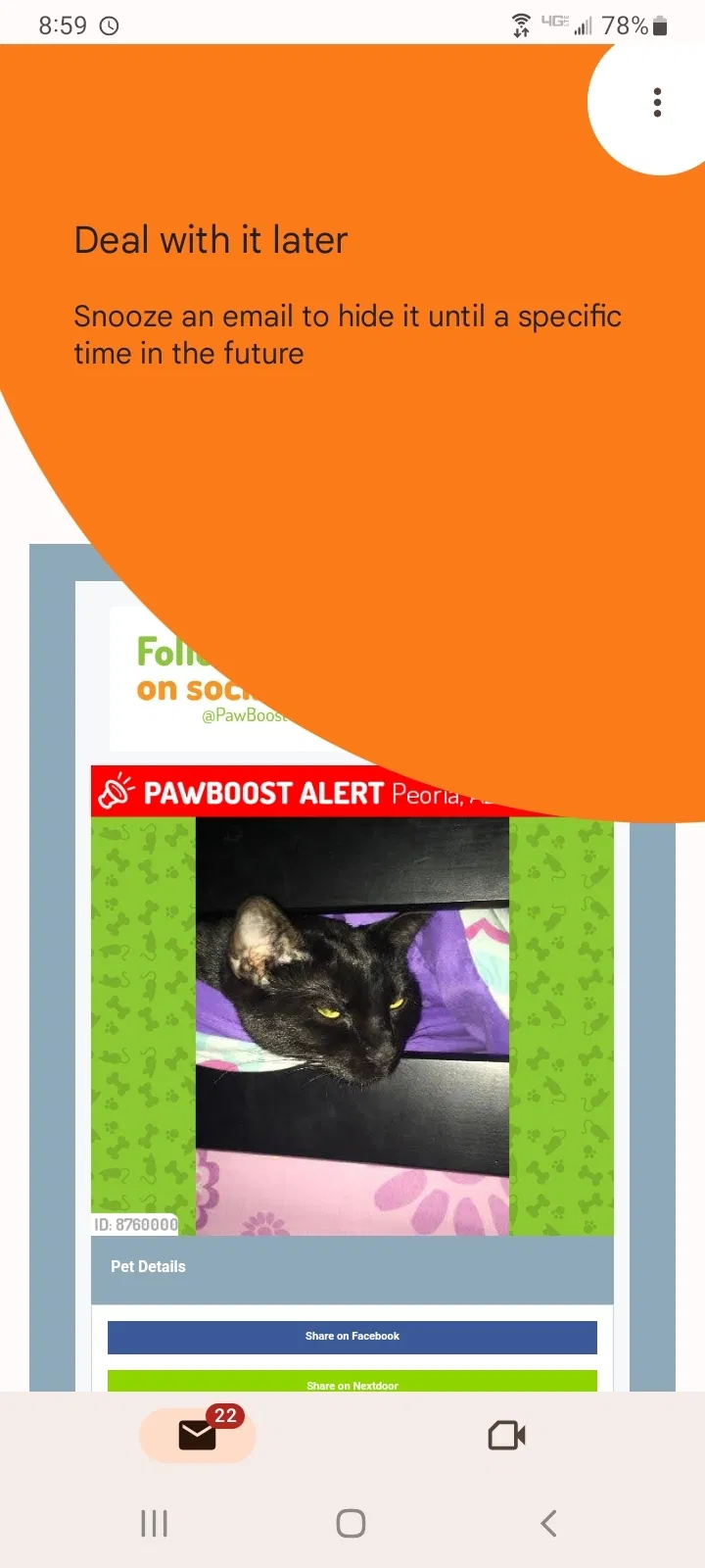 Lost cat in Peoria, AZ, 85383