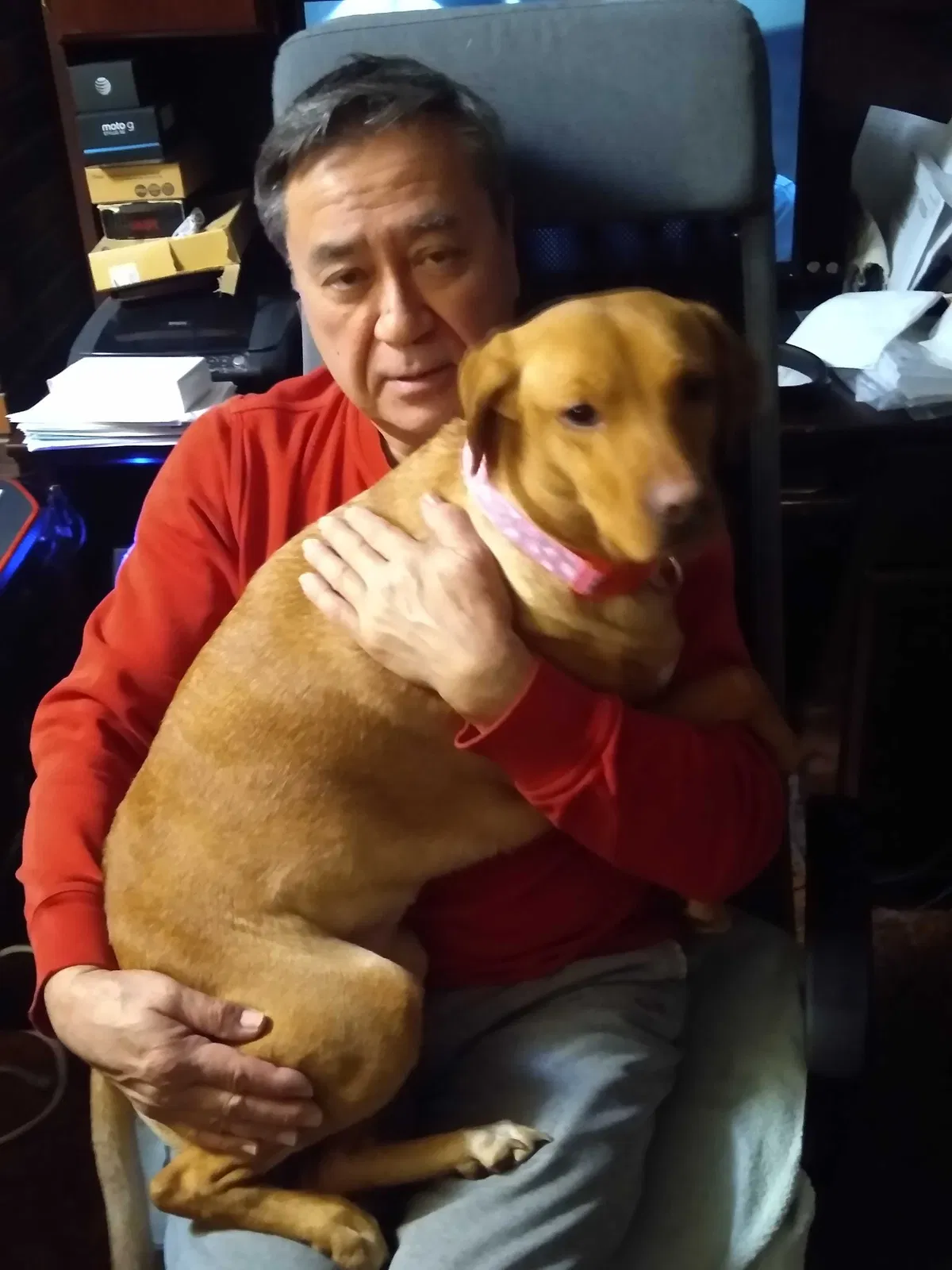 Lost dog in Highland, IL, 62249