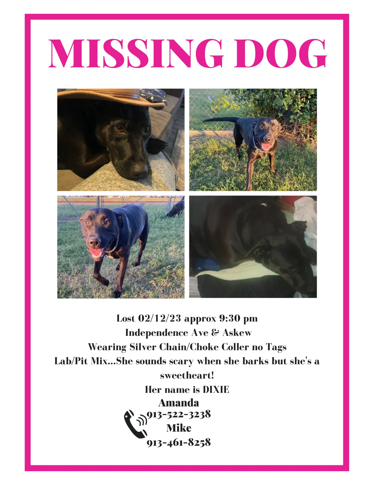 Lost dog in Kansas City, MO, 64124