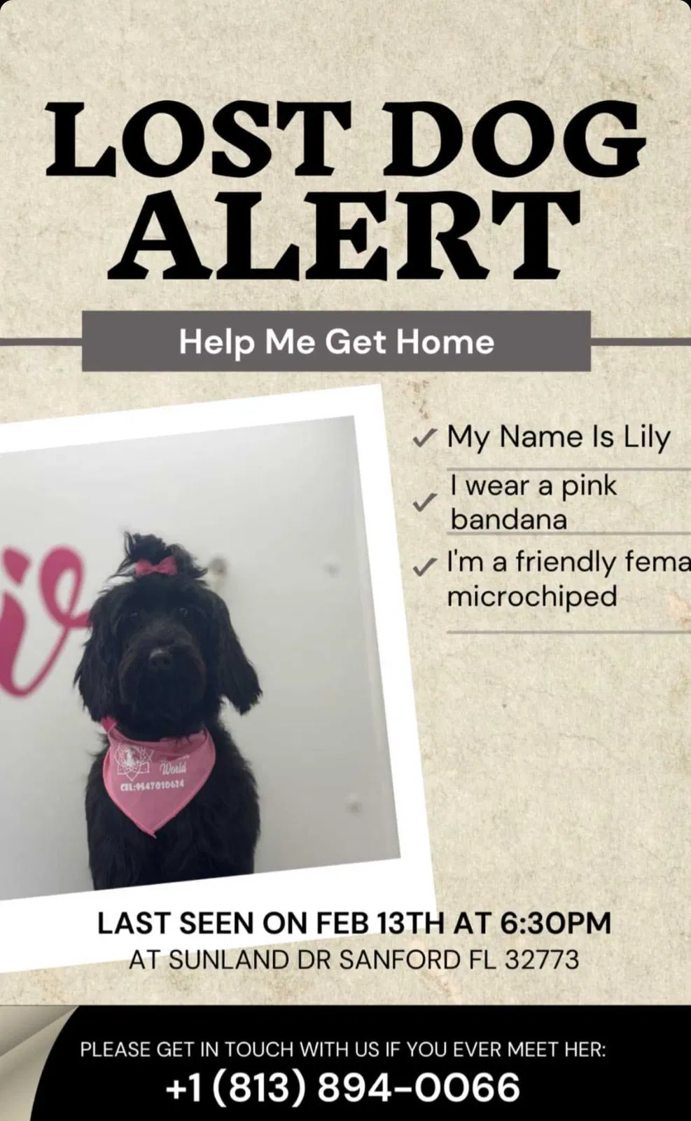 Lost dog in Sanford, FL, 32773