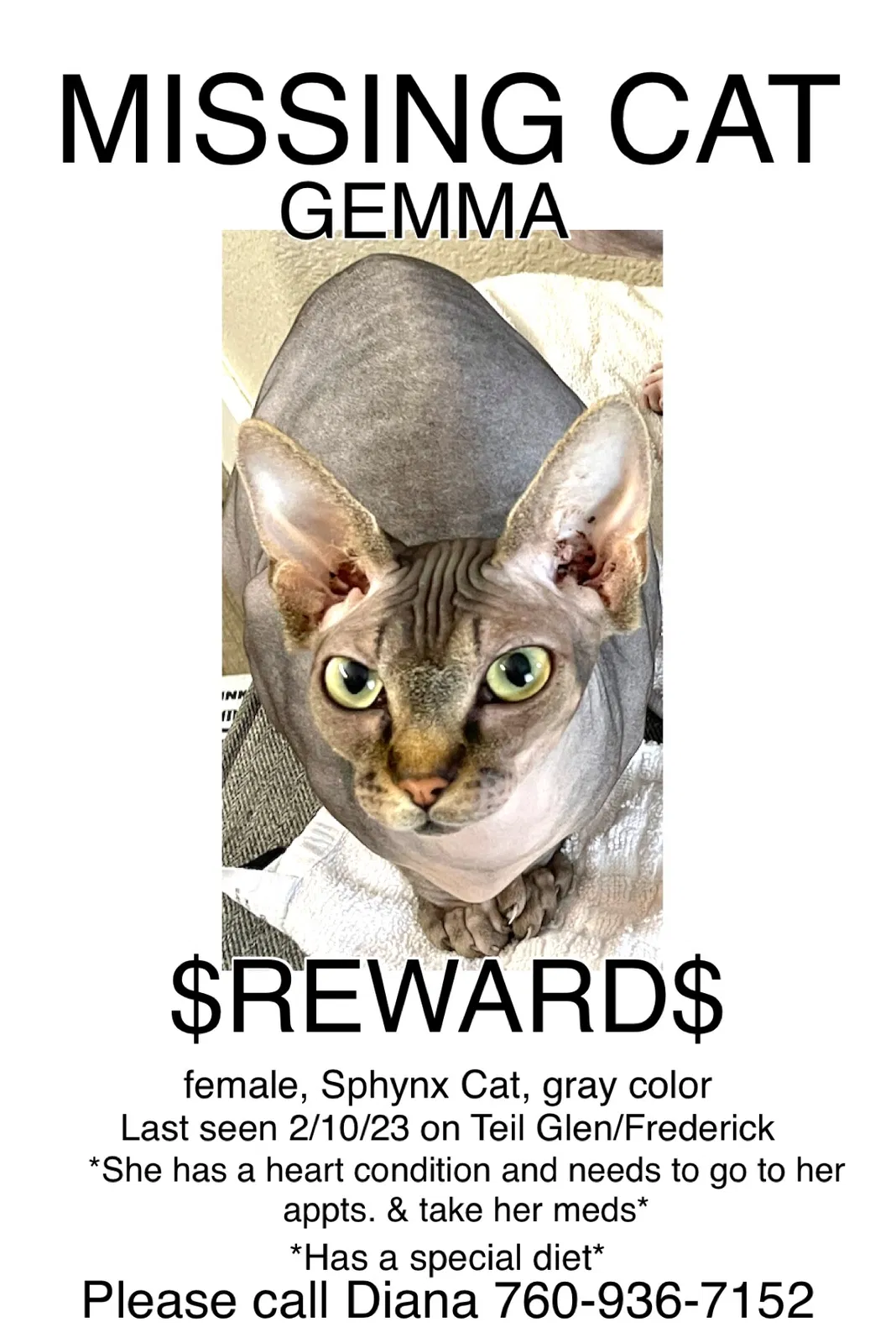 Lost cat in Wildomar, CA, 92595