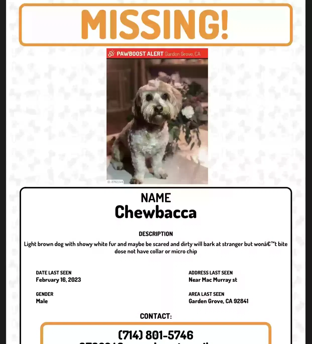 Lost dog in Garden Grove, CA, 92841