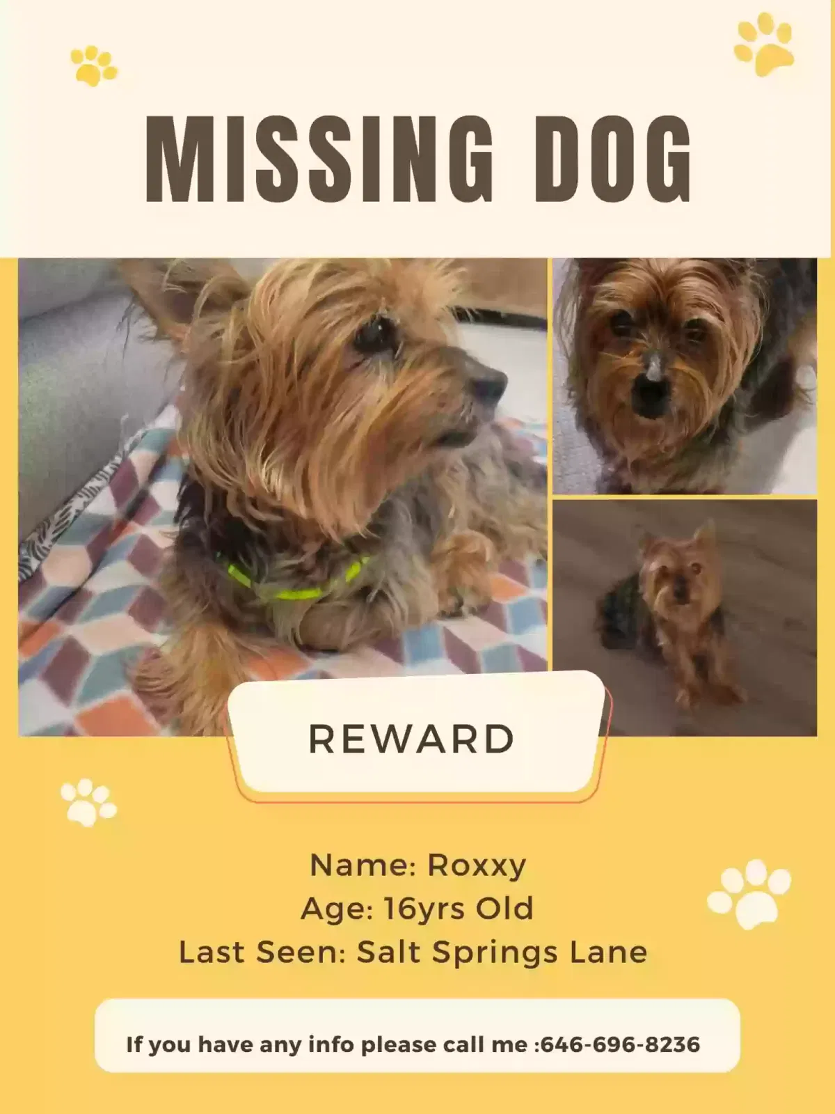 Lost dog in Lakeland, FL, 33811