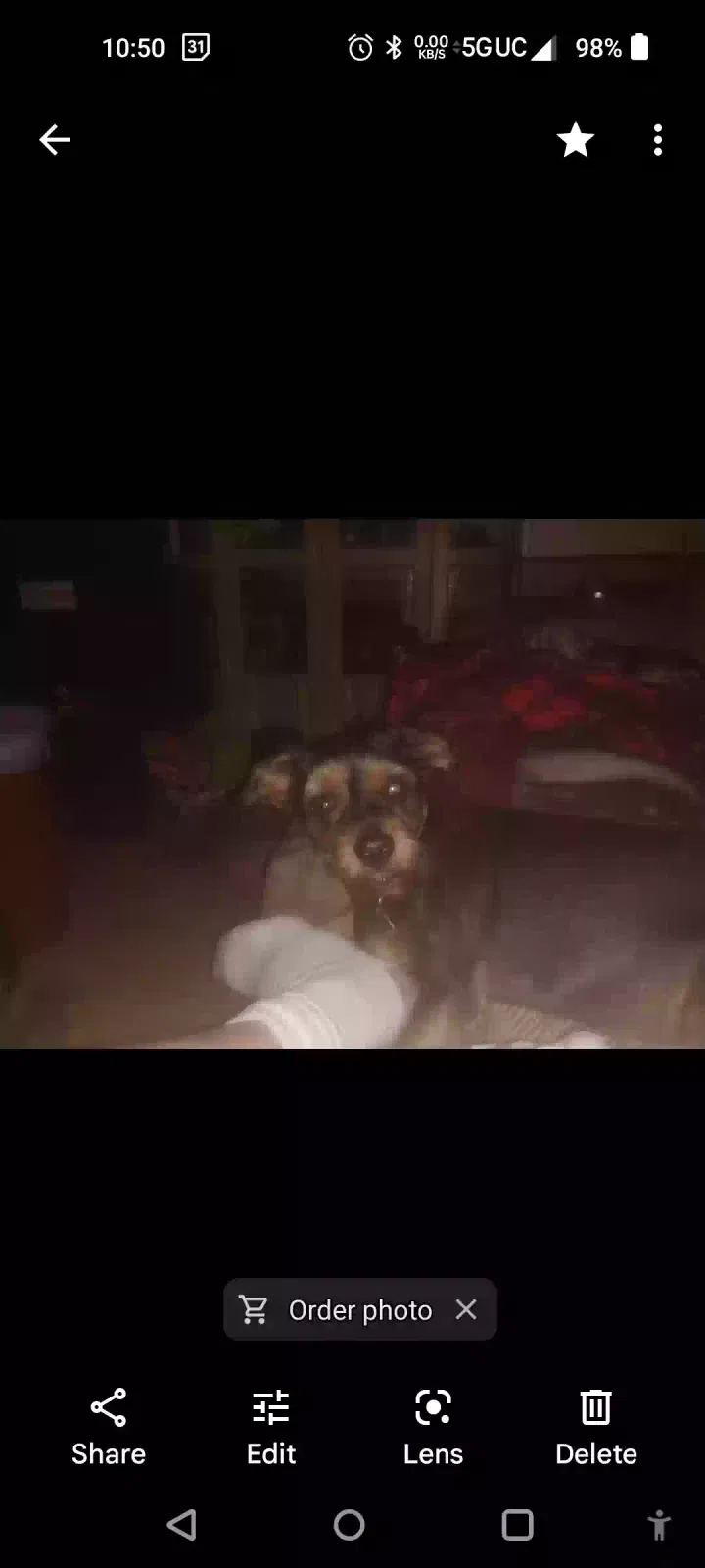 Lost dog in Clinton, TN, 37716