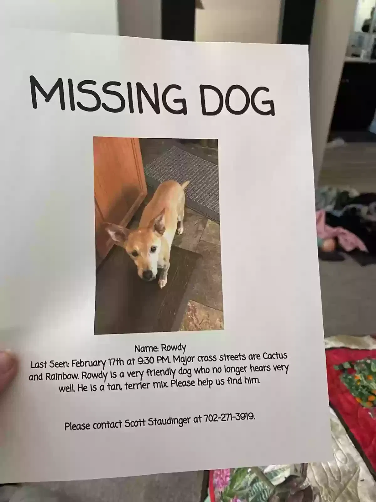 Lost dog in Las Vegas, NV, 89178