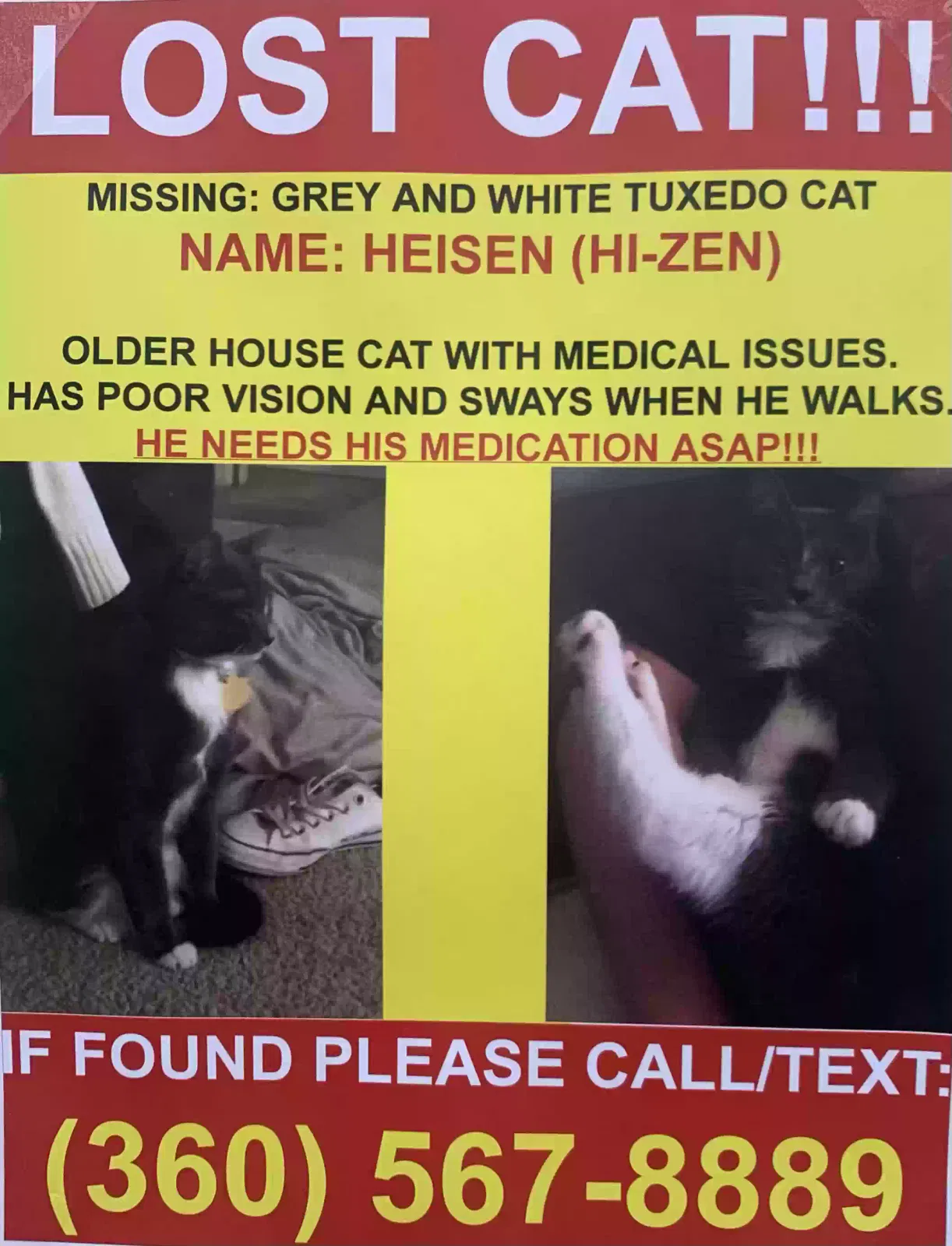 Lost cat in Cornelius, OR, 97113