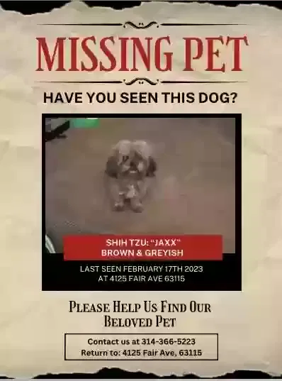 Lost dog in Saint Louis, MO, 63115