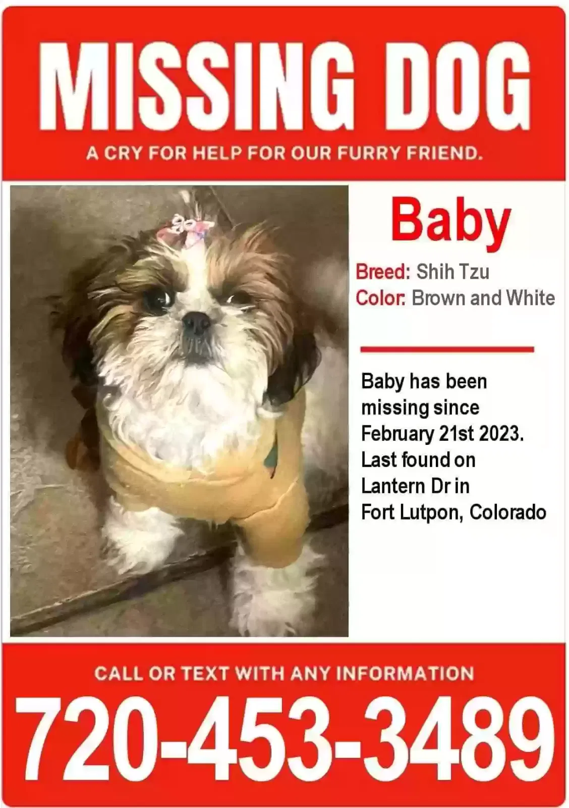 Lost dog in Fort Lupton, CO, 80621