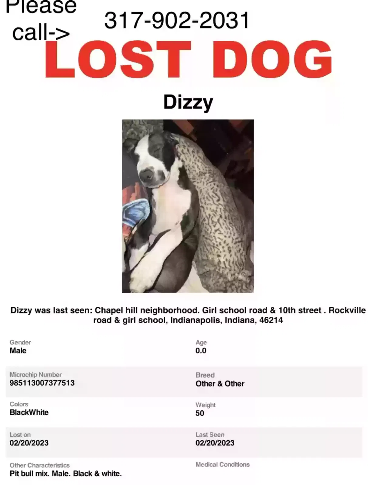 Lost dog in Indianapolis, IN, 46214