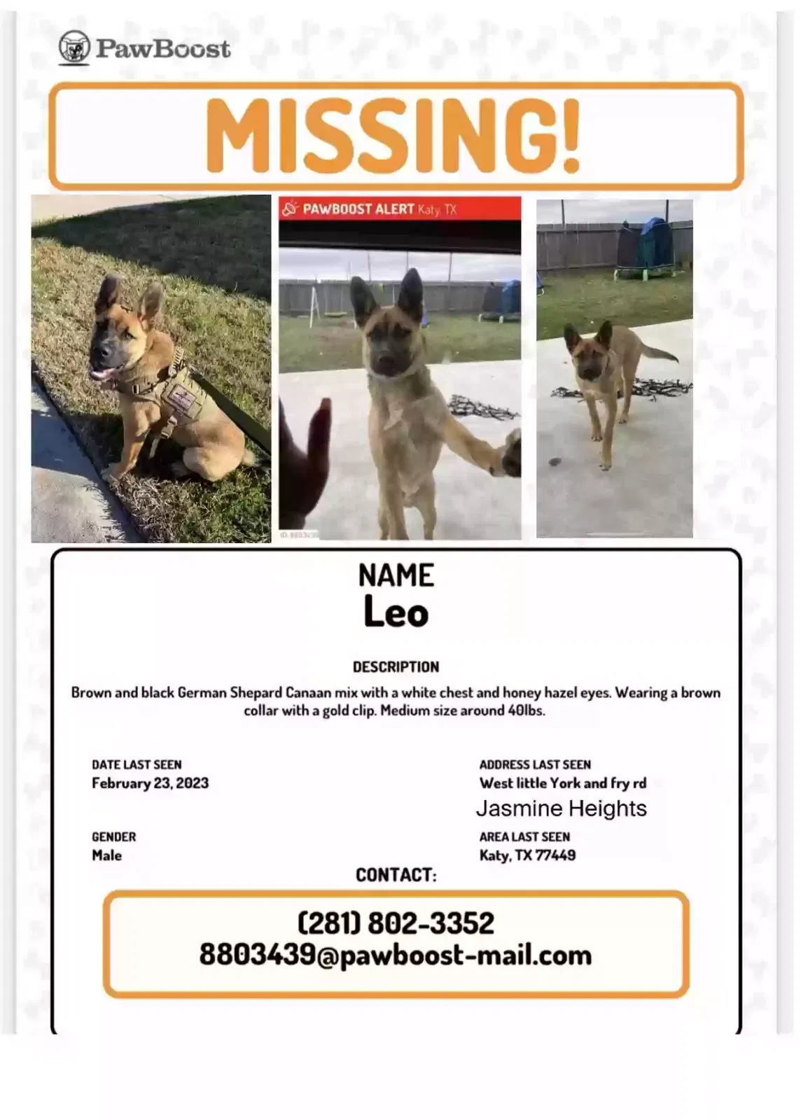 Lost dog in Katy, TX, 77449
