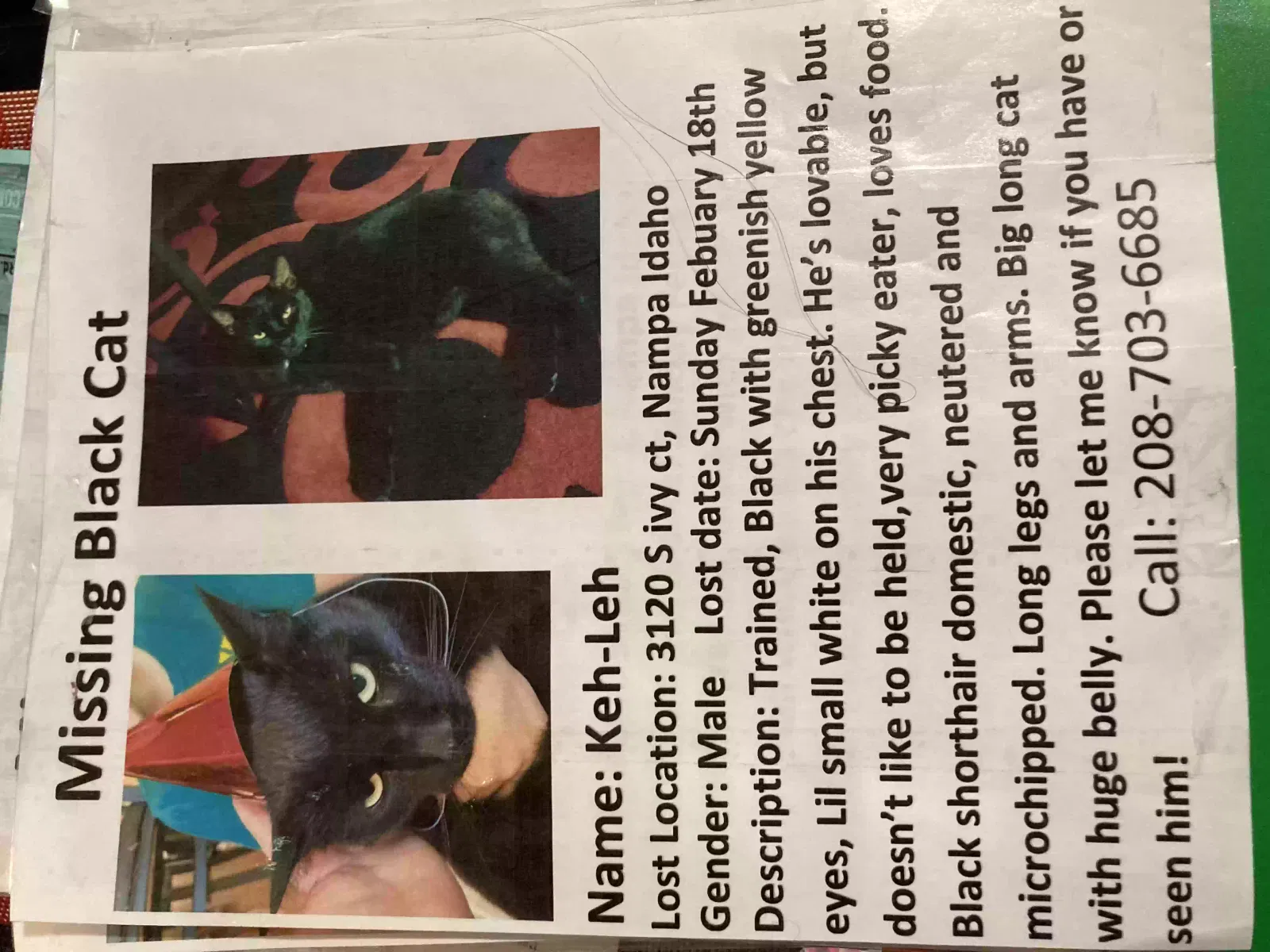 Lost cat in Nampa, ID, 83686