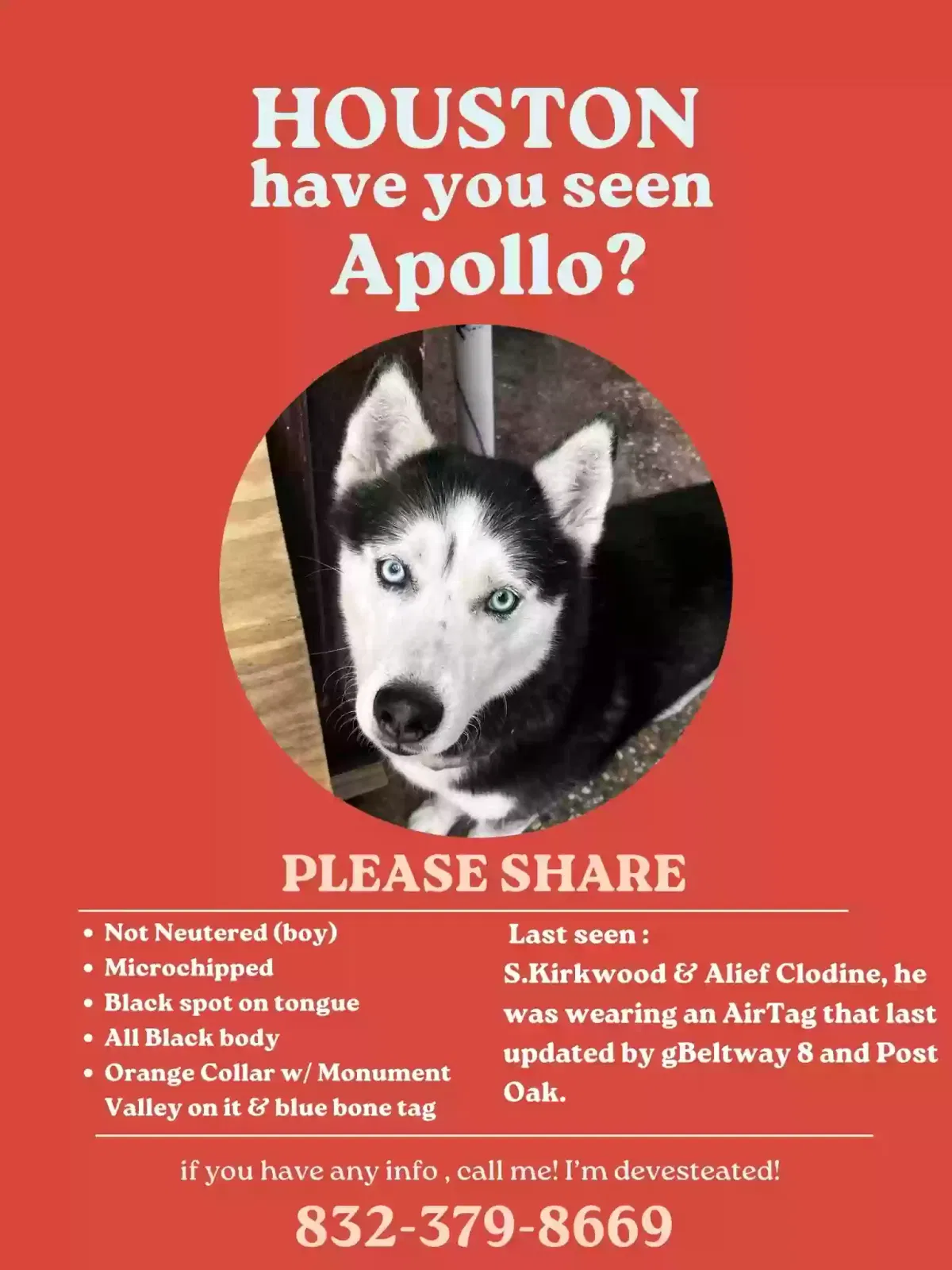 Lost dog in Houston, TX, 77072