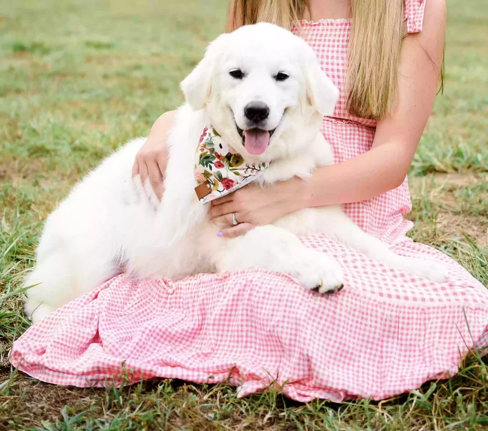 Lost dog in Wilson, NC, 27896