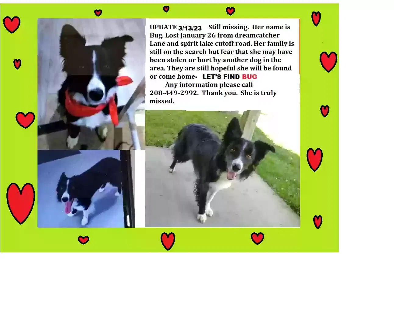 Lost dog in Spirit Lake, ID, 83869