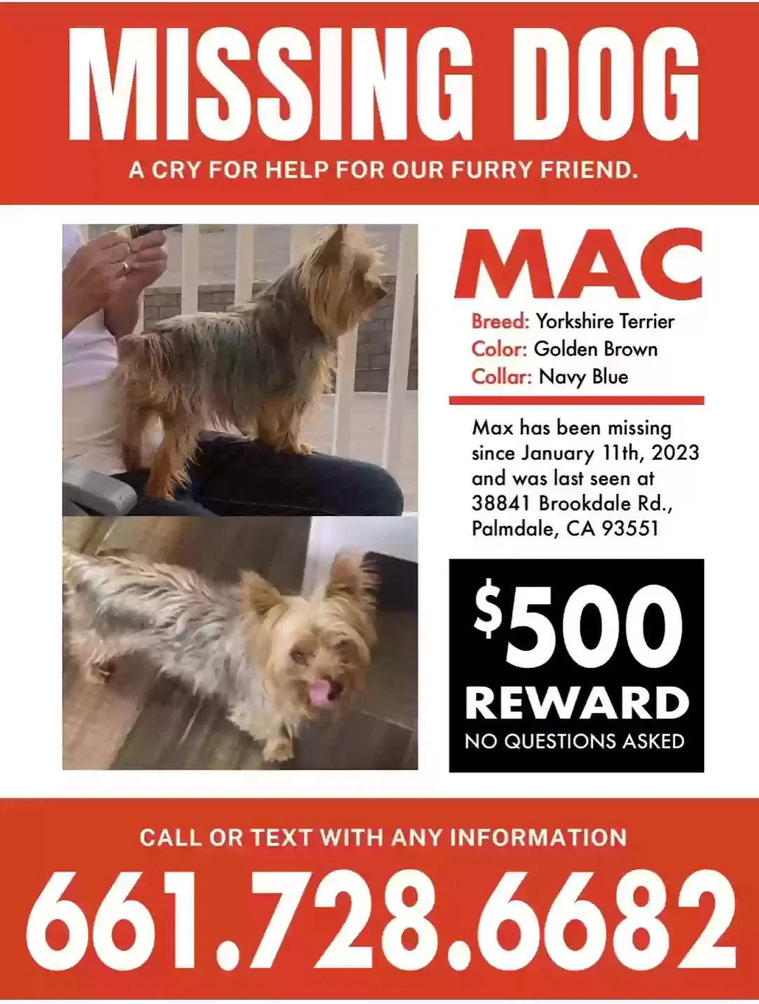 Lost dog in Palmdale, CA, 93551