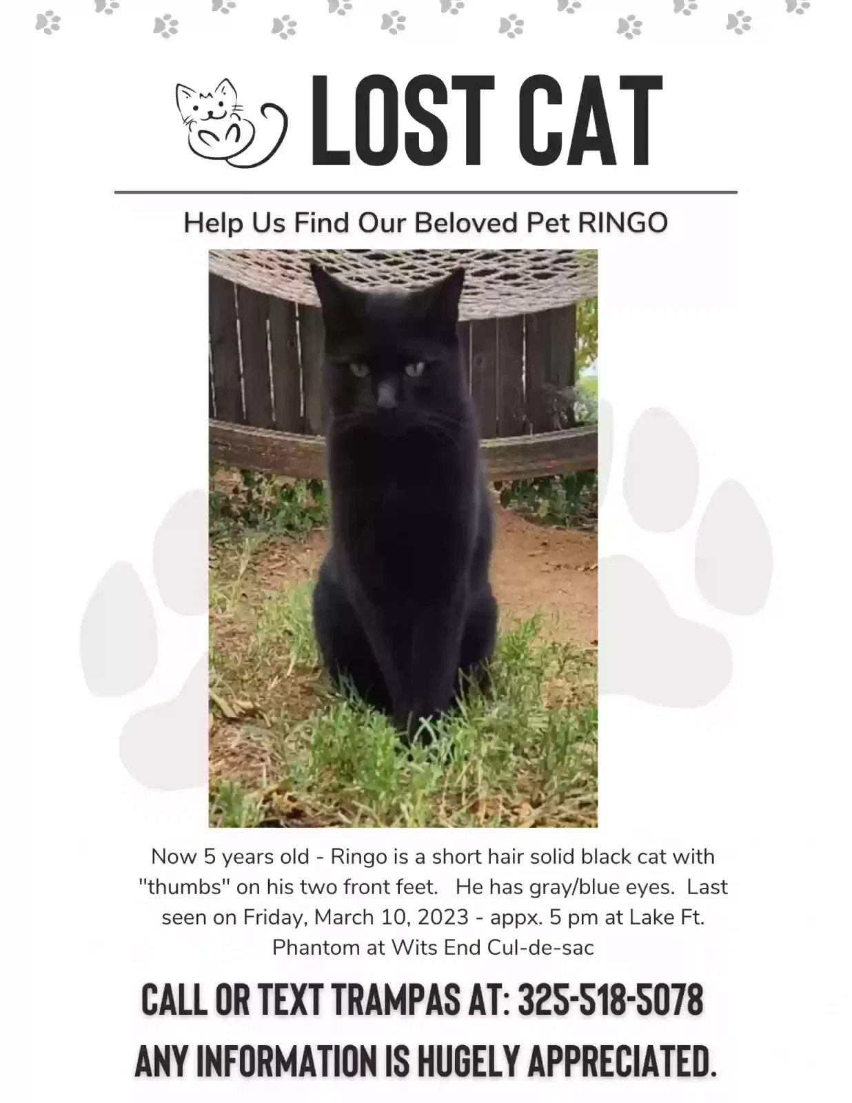 Lost cat in Abilene, TX, 79601