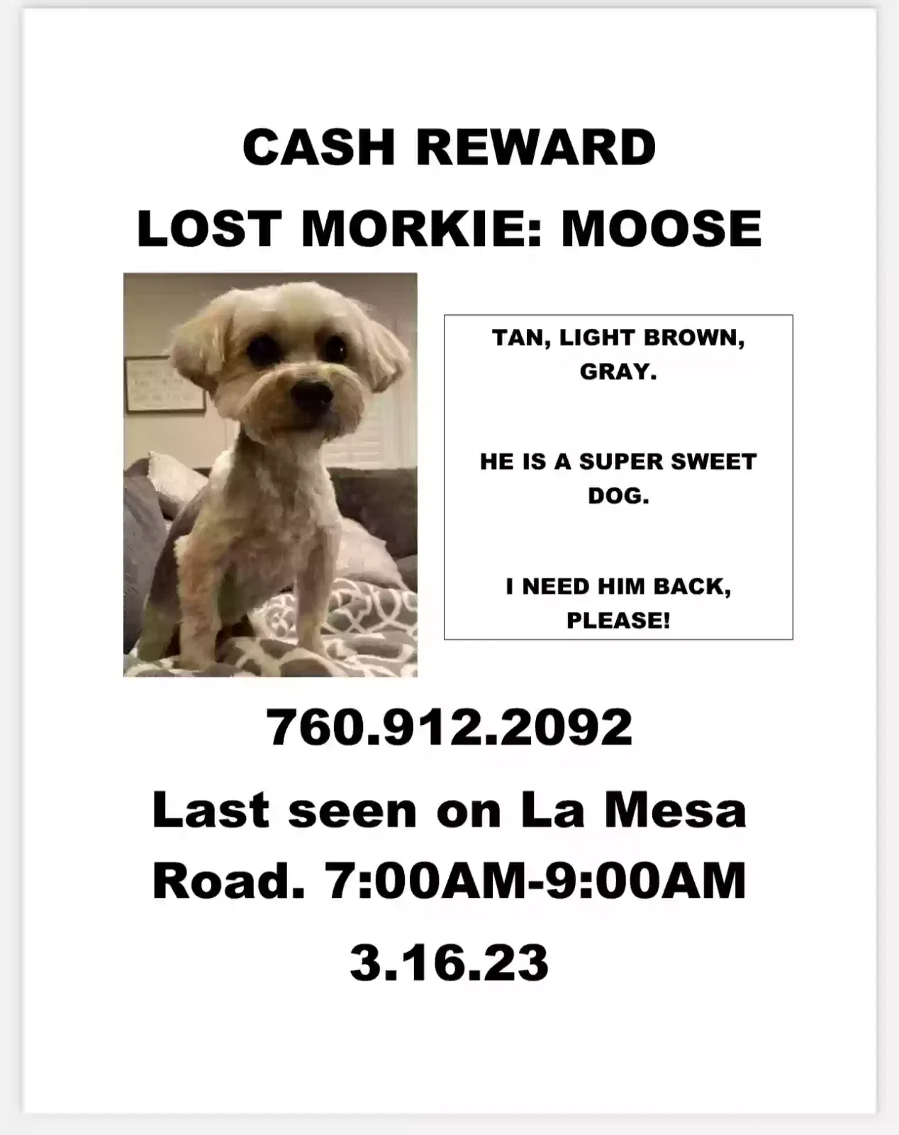 Lost dog in Victorville, CA, 92392
