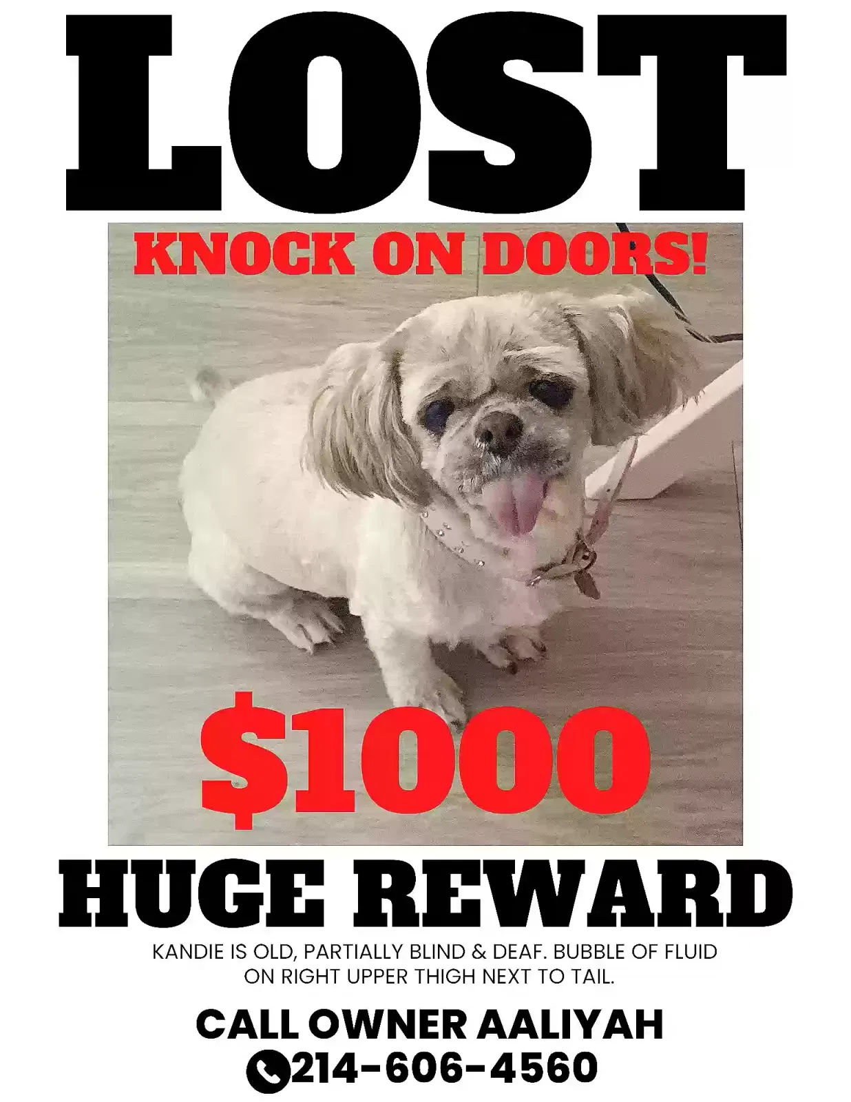 Lost dog in Fort Worth, TX, 76123