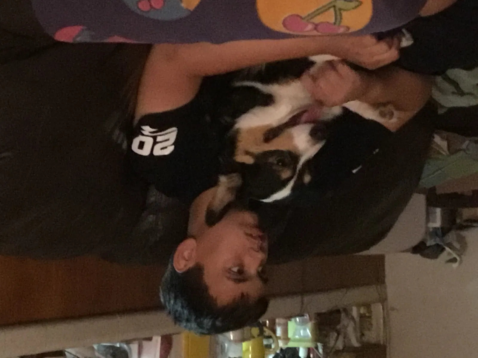 Lost dog in Bakersfield, CA, 93306
