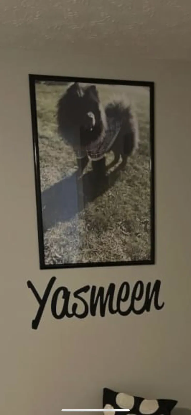 Lost dog in Reynoldsburg, OH, 43068