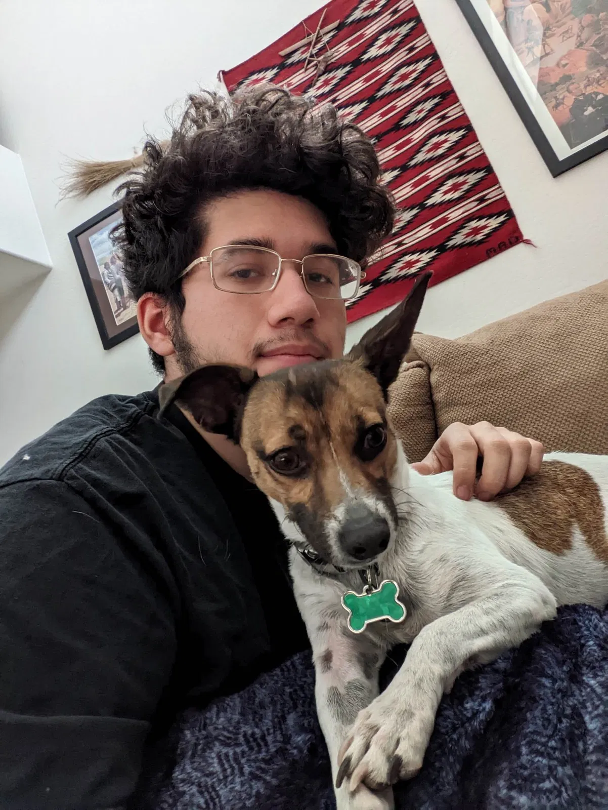 Lost dog in Phoenix, AZ, 85035