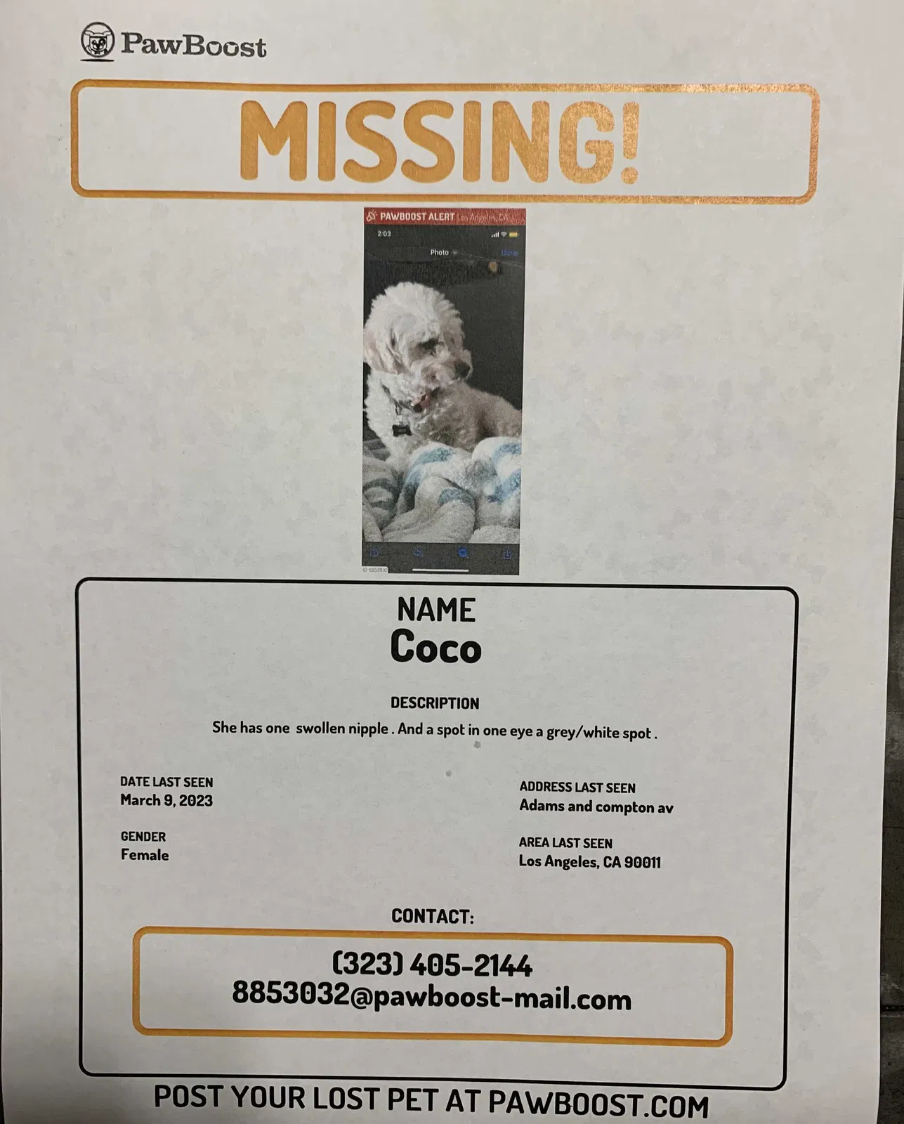 Lost dog in Los Angeles, CA, 90011