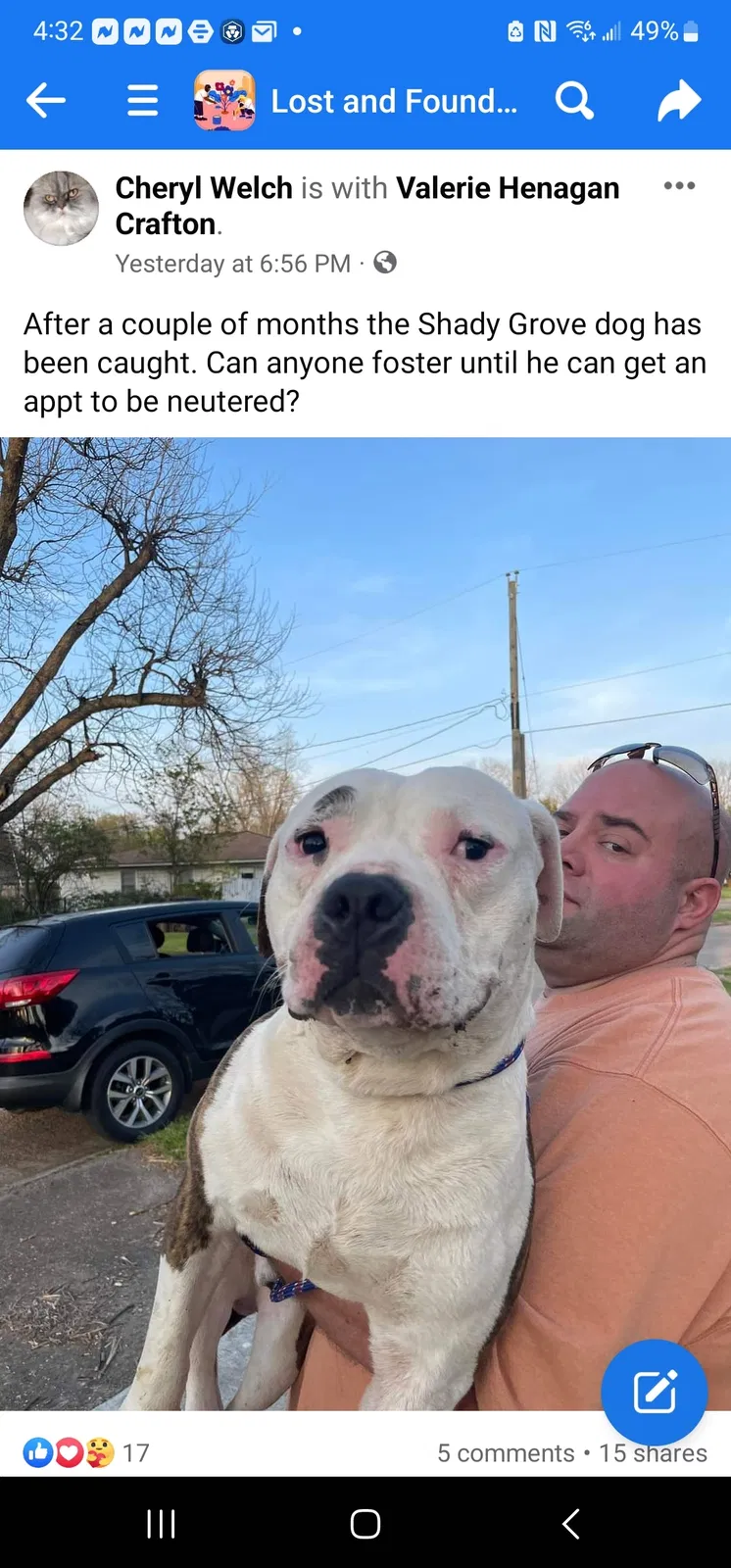 Lost dog in Bossier City, LA, 71112