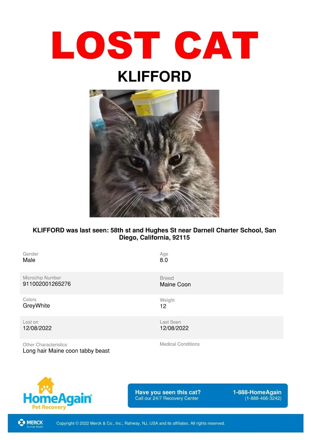 Lost cat in San Diego, CA, 92115