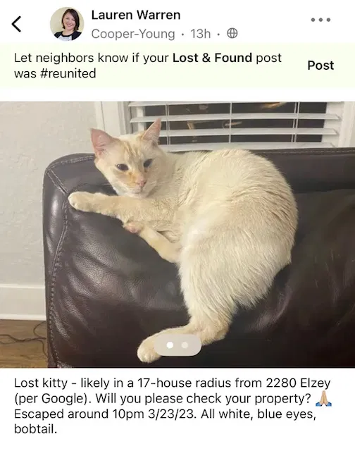 Lost cat in Memphis, TN, 38104