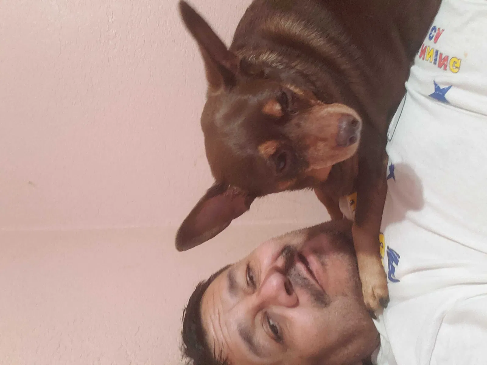 Lost dog in Montebello, CA, 90640