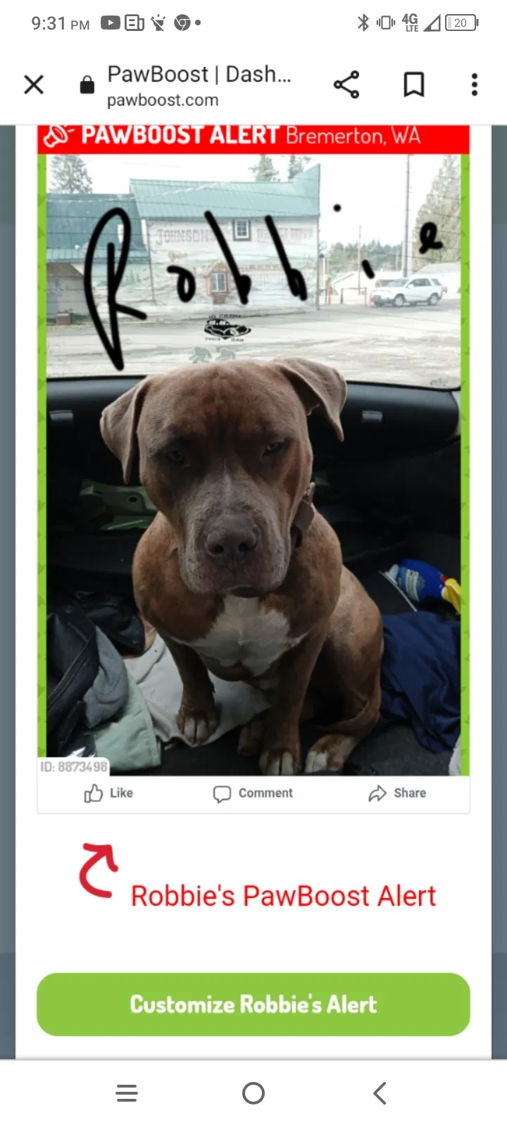 Lost dog in Olympia, WA, 98513
