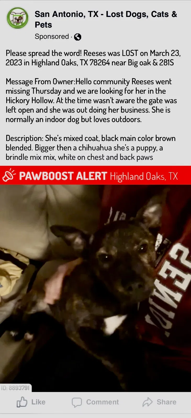 Lost dog in San Antonio, TX, 78264