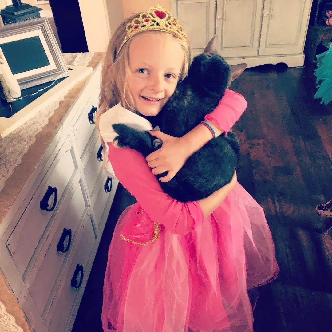 Lost cat in Oceanside, CA, 92057