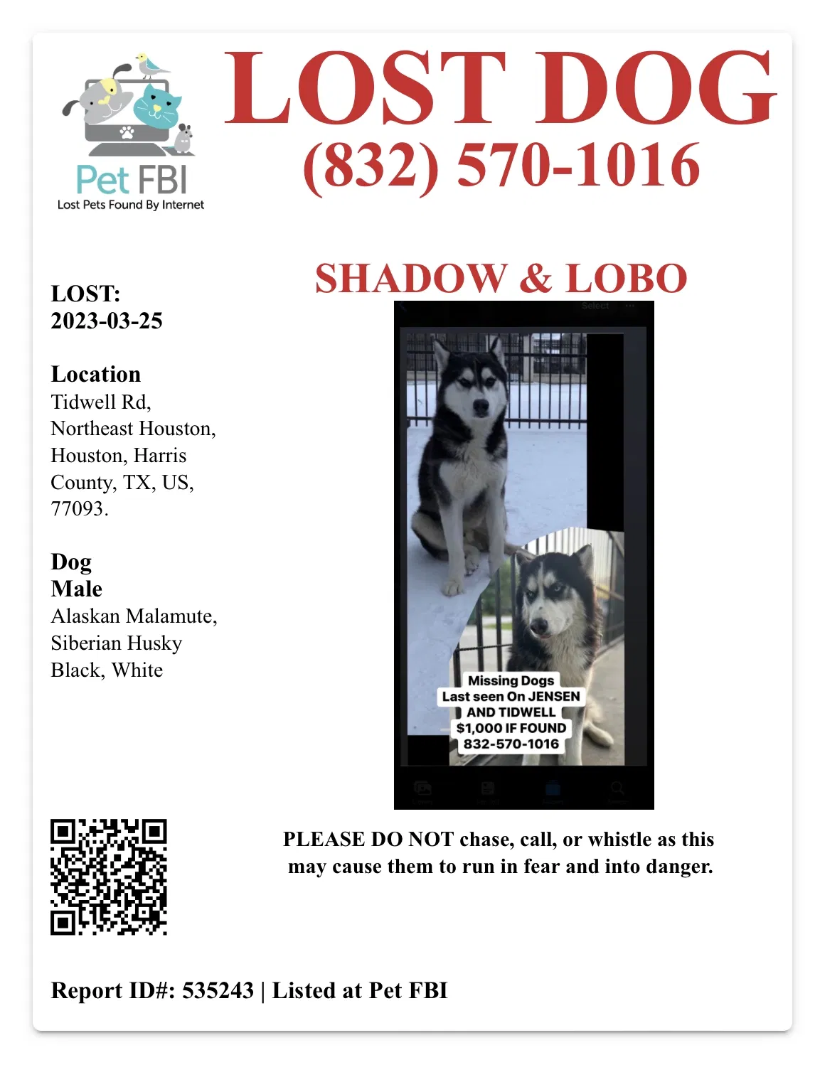 Lost dog in Houston, TX, 77093