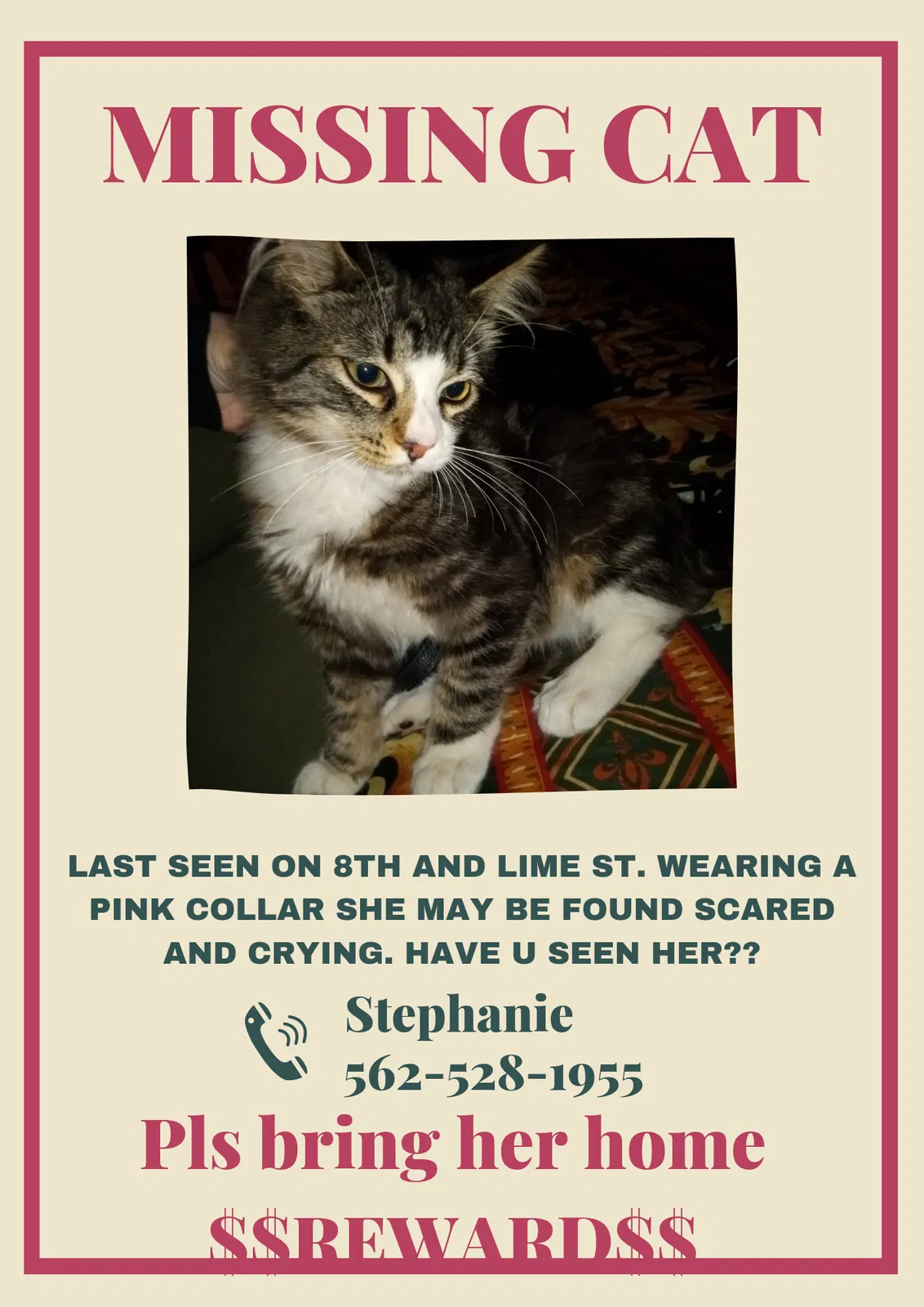 Lost cat in Long Beach, CA, 90813