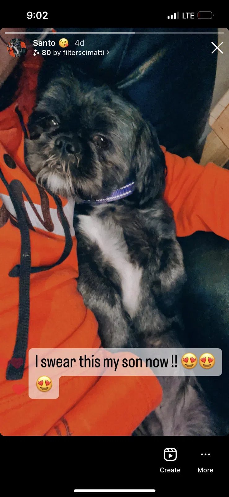 Lost dog in Hampton, VA, 23669