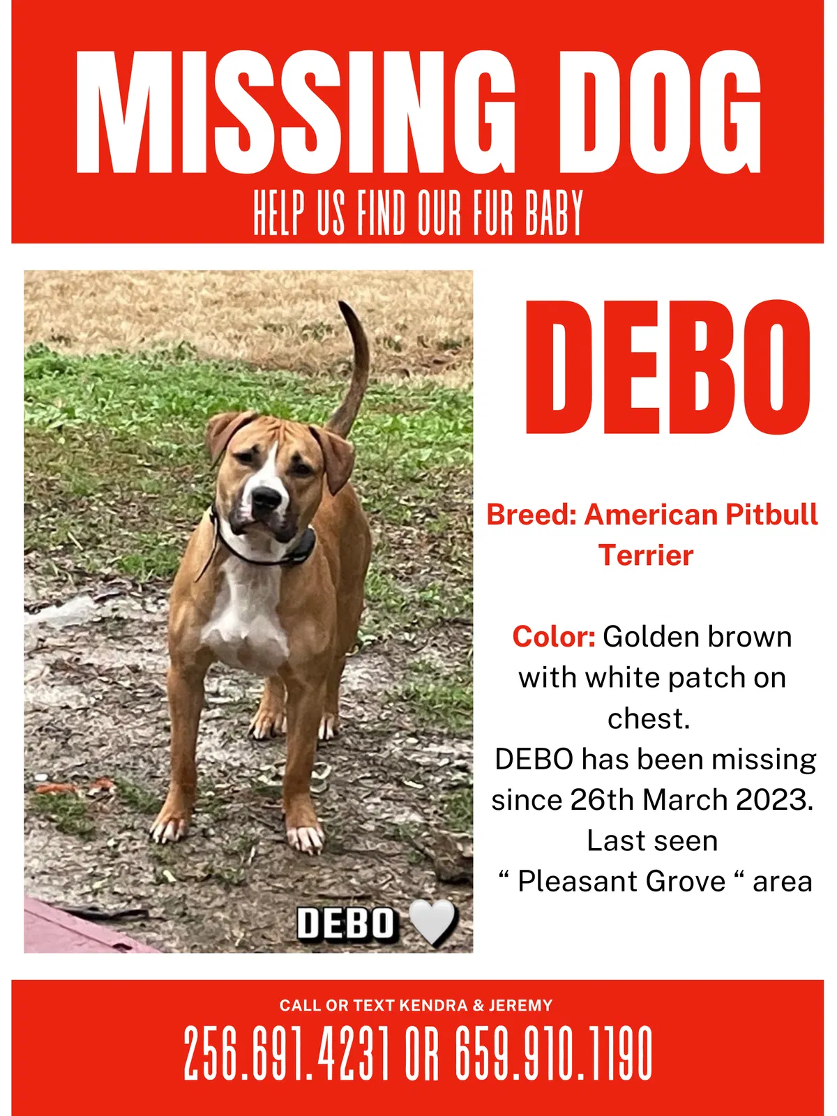 Lost dog in Pleasant Grove, AL, 35127