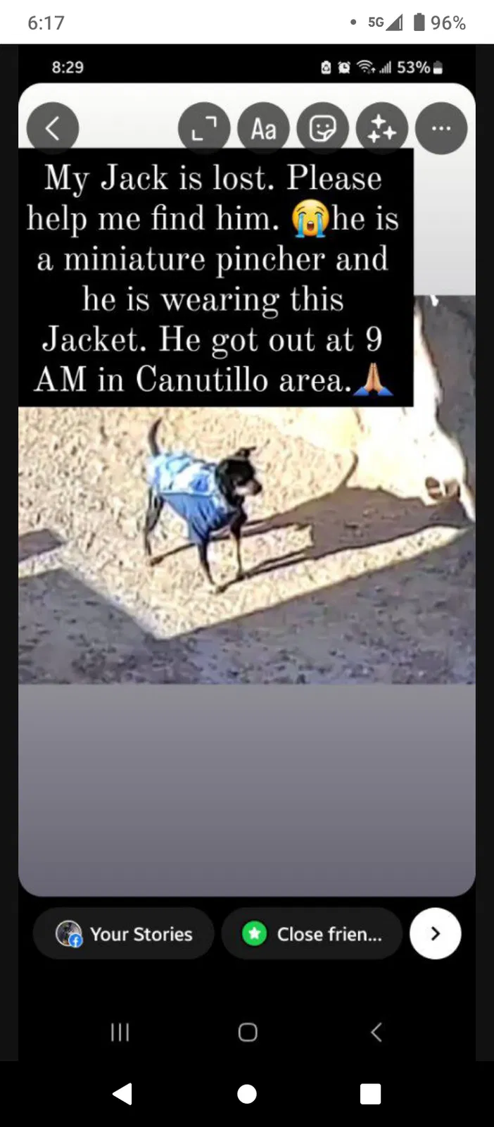 Lost dog in Canutillo, TX, 79835