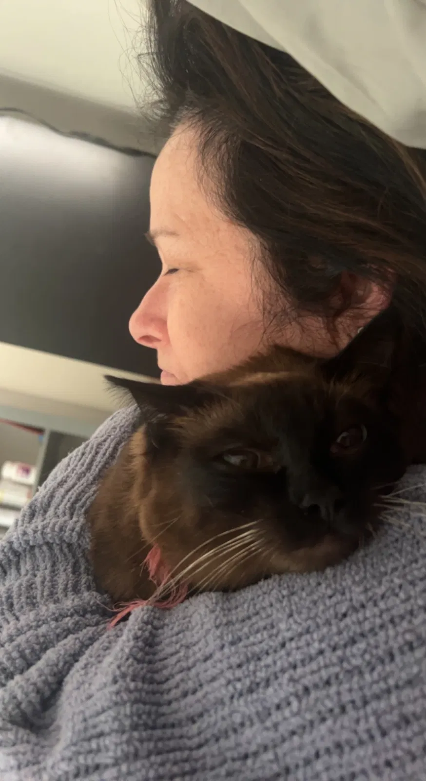 Lost cat in Graham, NC, 27253