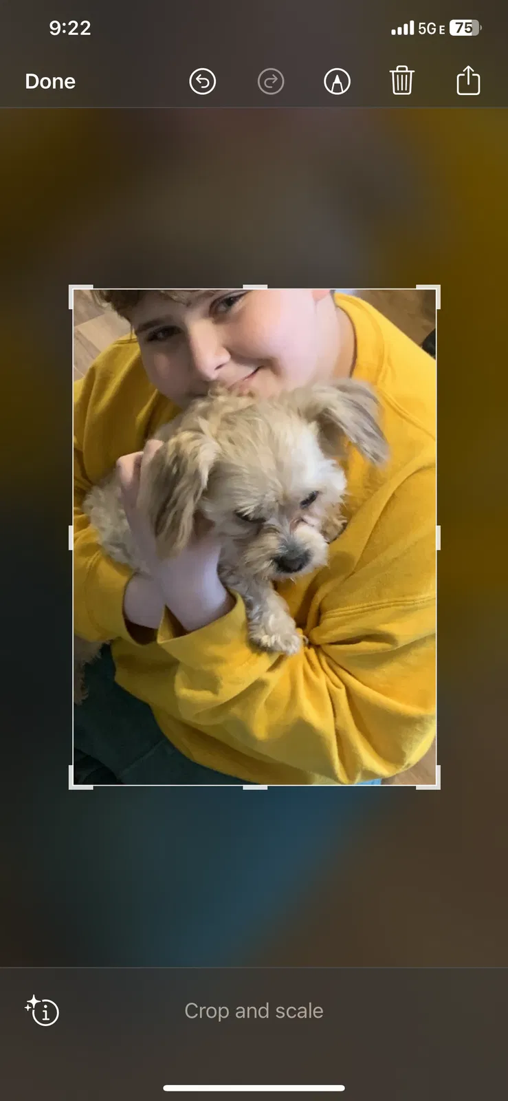 Lost dog in Murfreesboro, TN, 37127