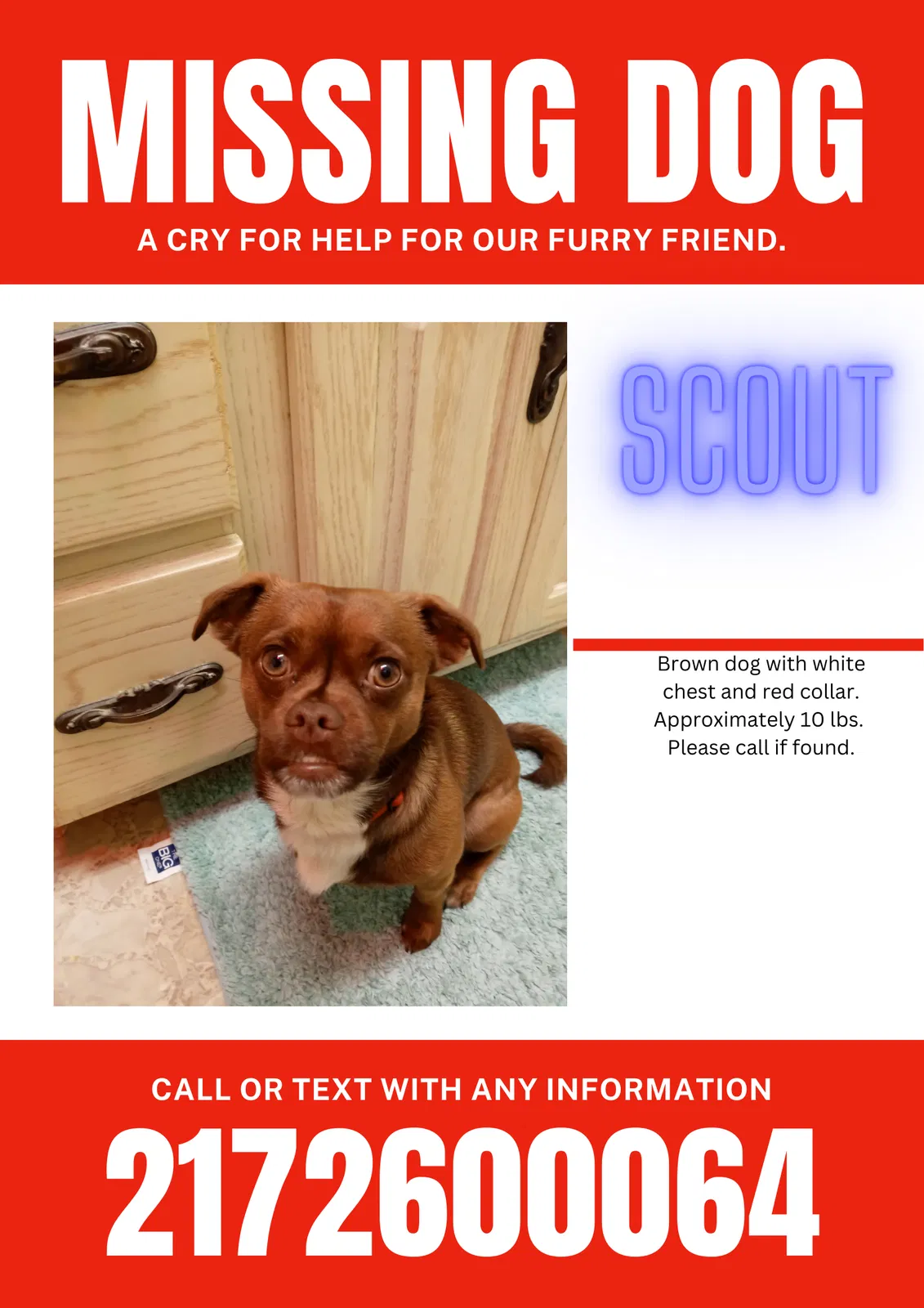 Lost dog in Oxford, AL, 36203