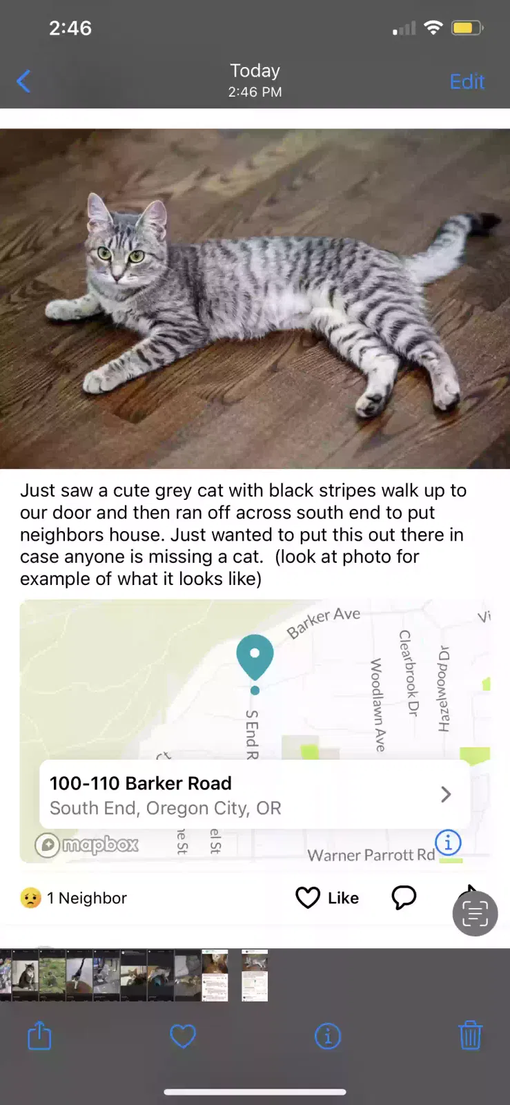 Lost cat in Oregon City, OR, 97045