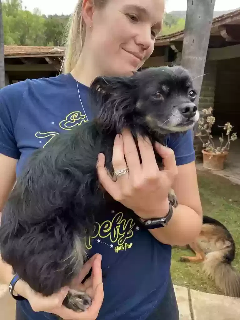 Lost dog in Valley Center, CA, 92082