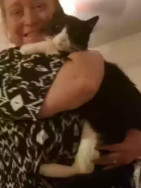 Lost cat in Newport News, VA, 23606