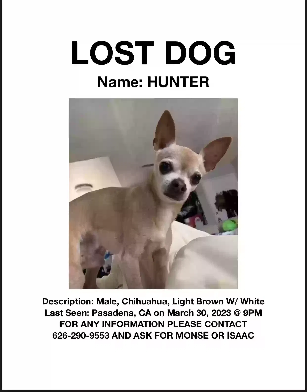 Lost dog in Pasadena, CA, 91107