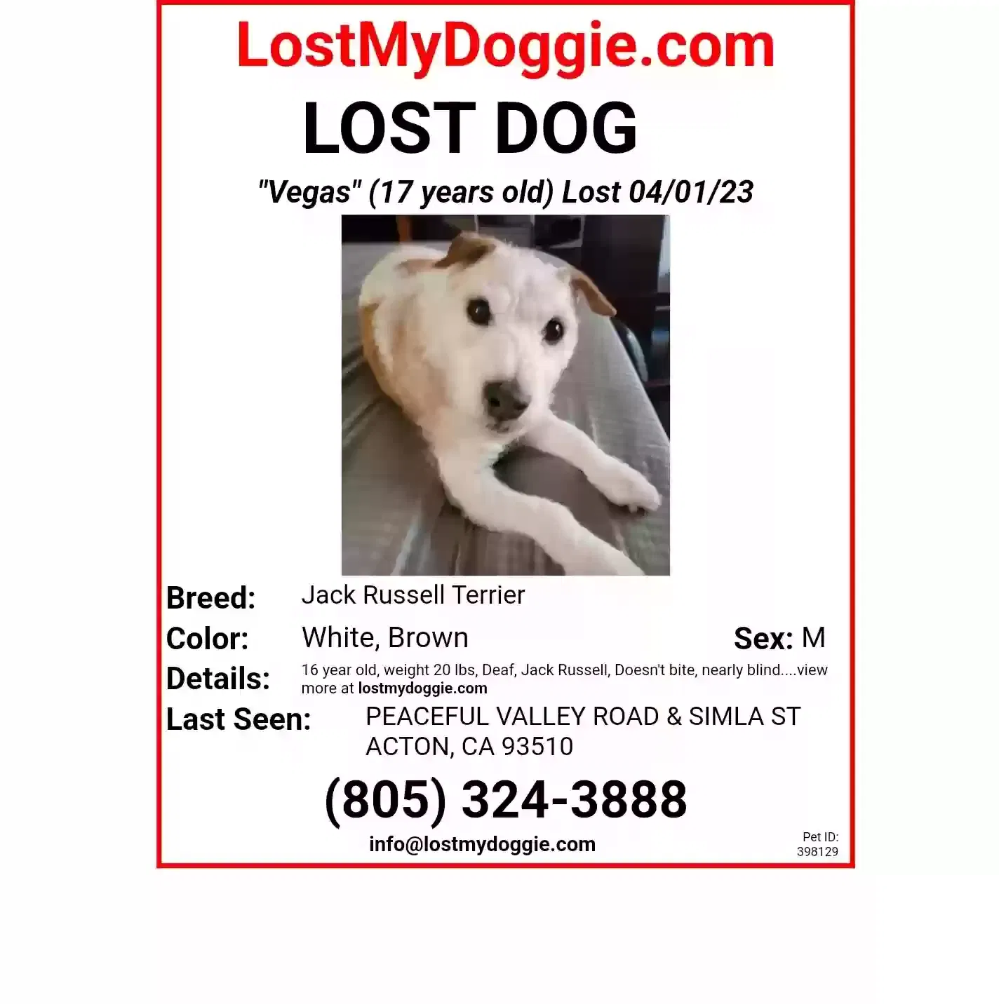 Lost dog in Acton, CA, 93510