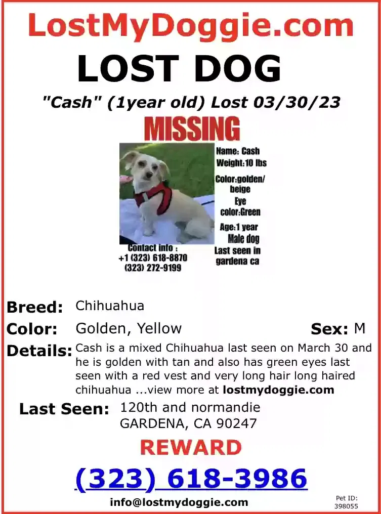Lost dog in Gardena, CA, 90247